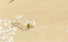 符号可以带来幸运?——探讨2023年兔本命年的吉祥物和生肖符号的选择及意义