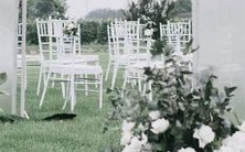 哪些星座是最适合配对金牛女的:狮子座、水瓶座、天蝎座、以及同样是金牛座的人?