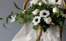 年运势大揭秘:生肖羊与星座金牛在2017年将迎来怎样的命运呢?