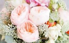 男狮子座二区和女天蝎座二区的配对:探索两个星座的优点和挑战,以及如何建立健康、平衡和充满激情的关系