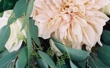 男子属白羊座二区配女子属金牛双子座的情感组合分析