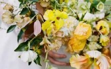 追求细节,喜欢敏锐观察人事,表现出对星座的浓厚兴趣的人群