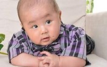 探究小说中那些让听起来格外优雅的企业名称