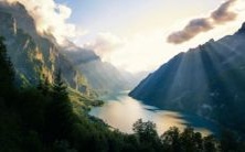 属狗和属猪的配对:探讨狗和猪交配后的最佳宝宝品种