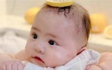 如何赋予盒饭一个美妙的名称?