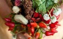 6月9日出生的人的星座是哪个?——答案是双子座!快来了解6月9日生日书的秘密吧!