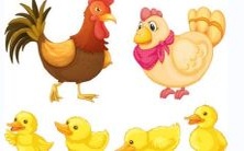 1988年生肖属相是什么龙?与哪种生肖最适合?