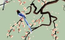 属牛的人在2023年的运势展望:解析97年生肖牛2023年的财运、感情、事业、健康、家庭等方面的表现