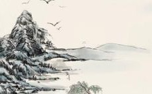 属蛇人的人们在2023年需要备考哪些考试?