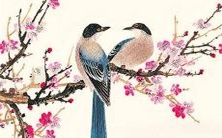 96年出生的鼠年生肖人2023年将迎来虚岁,即96岁!