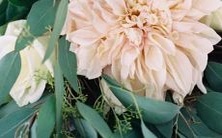 如何使用准确的方法查询自己的本命星座?