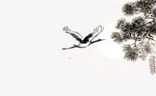 2023年属兔人出生的月份是哪些?