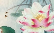 分析:蛇年运势预测——探究2023年属蛇人的幸运和不利之处