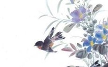 在2023年,鼠年是否会犯太岁?