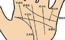 究竟是什么因素塑造了十斗之人的命运?历史文献、民间传说与现代研究的探索