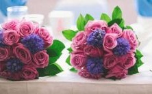 寻找最适合巨蟹座的情侣:巨蟹座情侣配对速查指南