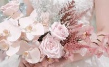 男性处女座和女性白羊座二区星座配对:探究性格匹配和关系可能性的研究