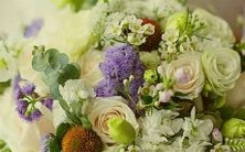 在决定我们性格和未来的星座学中,你认为星座真的如此重要吗?