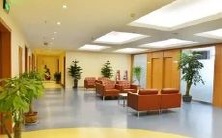 女性做梦杀蛇的含义是什么?是指她在梦境中经历了什么样的精神体验或象征性的暗示?