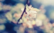 梦见他人右手截肢,该如何解释这个梦境?