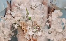 哪个星座是最为放肆不羁、性欲嗜好最强烈的?