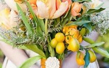 哪些星座与处女座最合适作为朋友?