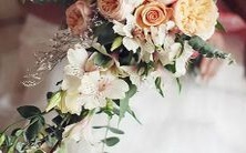 探索:占星学中的宫头星座及其影响力分析