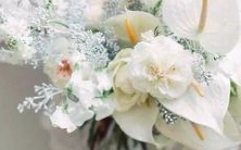 摩羯座男生和处女座女生的星座搭配是否适合长期成为夫妻伴侣?