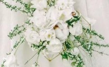 男性天秤天蝎座与女性水瓶座一区配对:探究星座关系的相容性特征和可能出现的挑战