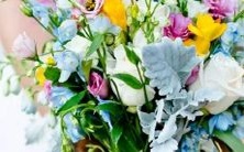 比较:根据星座特点,分析水瓶座和金牛座的配对可能性