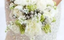 可以用哪些方法来查询当前金星位于哪个星座?