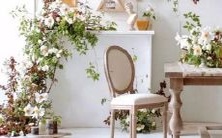 春天的夜空中绽放出美妙的星座,让我们一起期待吧!