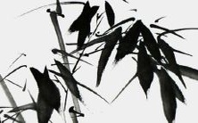 如何命名一个美妆品牌的口红,让其听起来美丽动人,让人印象深刻?