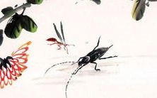 探寻2023年虎年属猴人的全面运势:健康、事业、财运、感情等方面的表现预测