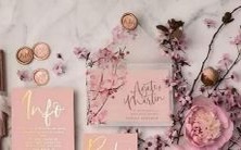 男狮子座一区和女双鱼座一区的星座配对:探索性格差异与融合之间的平衡关系