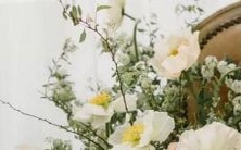 天秤座男生和金牛座女生能否成为一对幸福美满的夫妻?