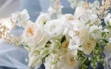 男性狮子座三区与女性金牛座二区的星座配对分析和建议