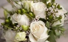 男处女座二区和女巨蟹座二区的星座组合:探讨两种性格特质与爱情匹配度的可能性