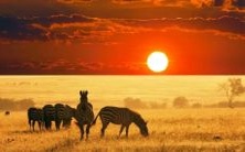 狮子座女与哪个星座最相容?狮子女与哪个星座男最配对?