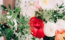 1993年度星历表:详细记录天体位置、运行轨迹及日月食等天文现象的厚重参考指南