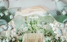 且迷人?探讨哪些星座女性具有美貌和智慧的双重魅力