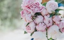 哪三个星座最慷慨大方,总愿意在众人面前炫耀奢华消费?