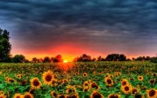 1992年出生的属猴人适合与哪些属相结婚?详细的92年属猴命运解析