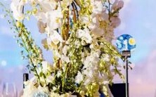 ——摩羯座与水瓶座适合在恋爱关系中配对吗?如何处理他们可能存在的矛盾与冲突?