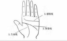 右手男生掌中痣的位置与命运图解:探寻命运因素对掌纹和痣相互影响的关系
