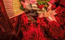 哪个星座会给你最亲切的感觉?