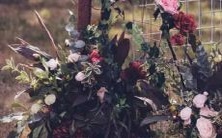 双鱼座的升星座为射手座,揭示双鱼座人的独特特质与命运路向!