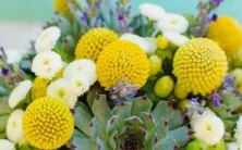 男属处女座二区与女属水瓶座三区之间的星座配对搭配建议和分析