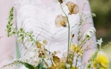 揭秘巨蟹座人的人格特质:与天蝎星座上升的关系及其影响