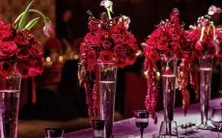 比较:阳历星座和阴历星座的异同点和意义解析